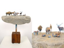 Spirit Animals 001